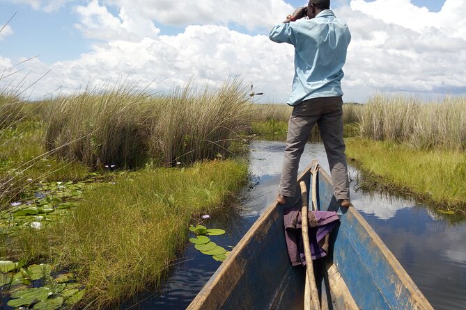 Shoebill stock tracking experience at Mabamba - Leaving Kampala at 7:00 am