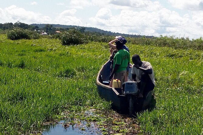 Shoebill stock tracking experience at Mabamba - Entering the wetland in search of the shoebill