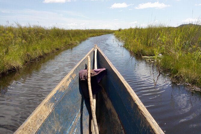 Shoebill stock tracking experience at Mabamba - What you might see beyond the shoebill