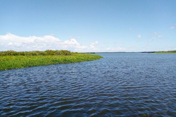 Shoebill stock tracking experience at Mabamba - The route toward Sazi and Mabamba Swamp