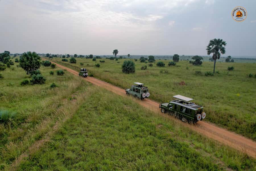 The Big5 3 Days Wildlife Adventure Experience in Uganda. - Walking with white rhinos at Ziwa Sanctuary
