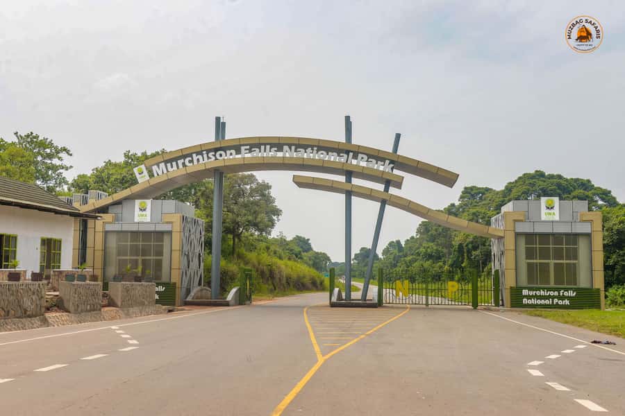 The Big5 3 Days Wildlife Adventure Experience in Uganda. - Cruising the Victoria Nile to the falls