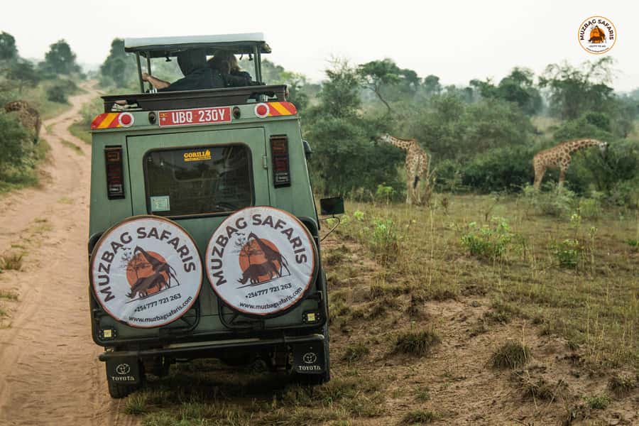 The Big5 3 Days Wildlife Adventure Experience in Uganda. - The top of Murchison Falls