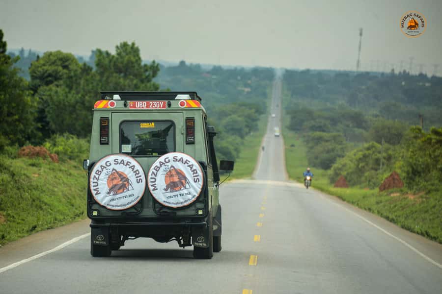 The Big5 3 Days Wildlife Adventure Experience in Uganda. - Who should book this safari?