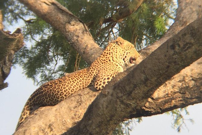 Three days escape to Queen Elizabeth National park - Day one: Kampala, the equator, and the road to Mbarara