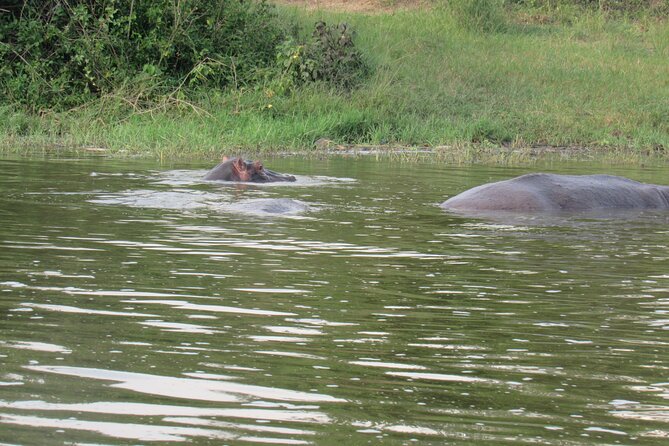 Three days escape to Queen Elizabeth National park - What $800 per person really buys you