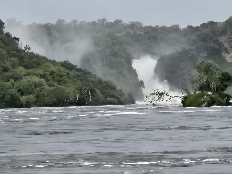 Uganda: 2-Day Murchison Falls Park Safari with Boat cruise - Should you book the Murchison Falls safari?