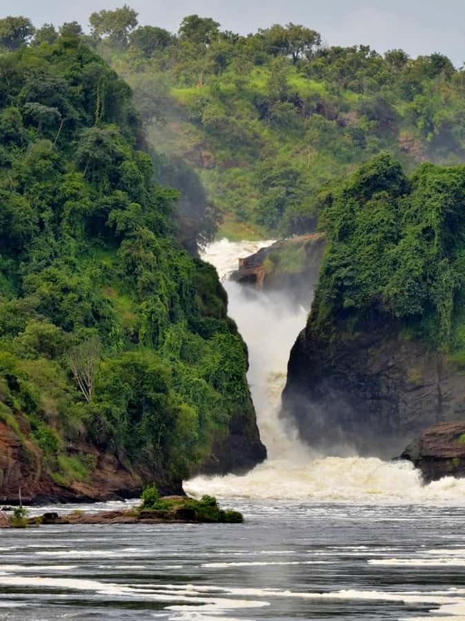 Uganda: 3-Day Gorilla Experience from Entebbe - The cultural performance before the gorilla trek
