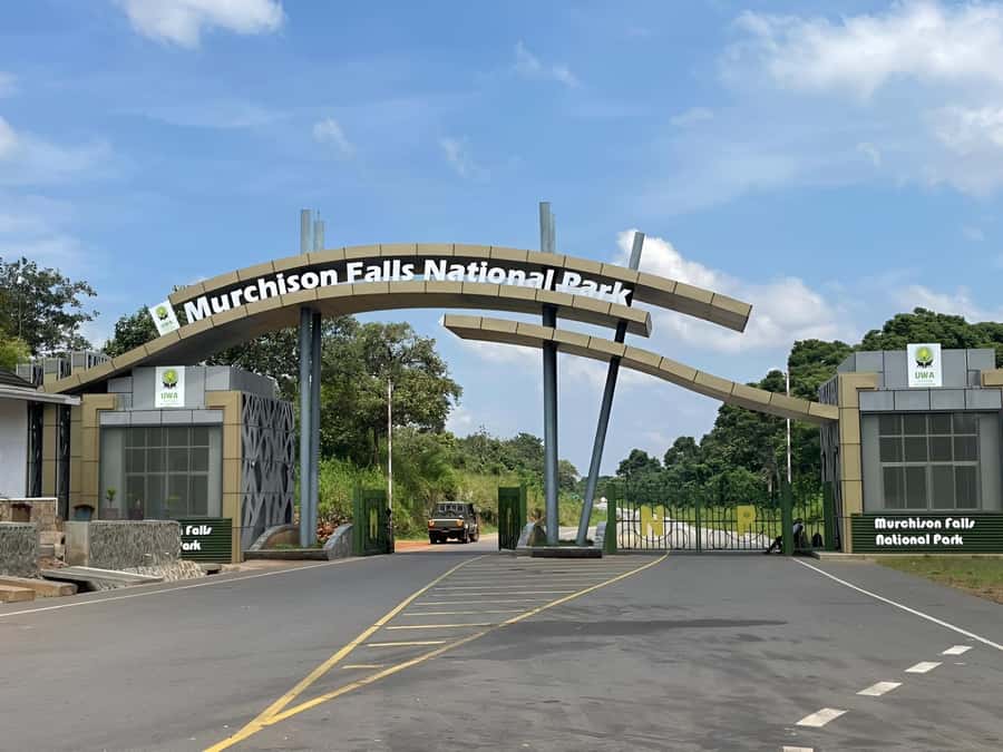 Uganda: 4-Day Murchison Falls National Park Safari - Five reasons this safari earns attention