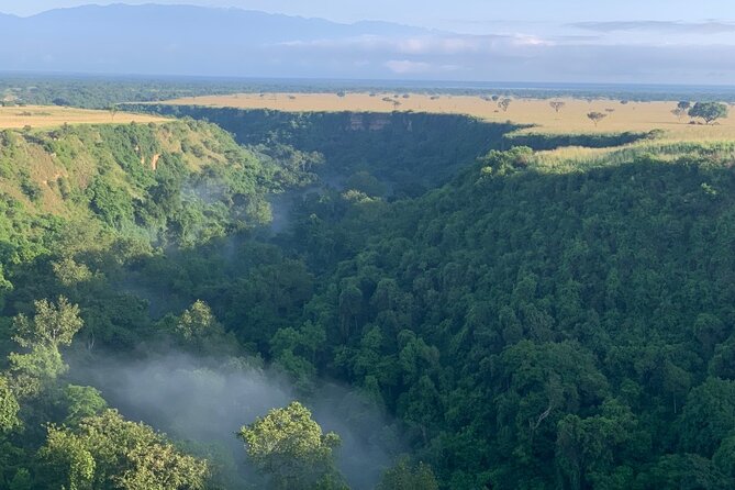 Uganda Gorilla Safari - Key points at a glance
