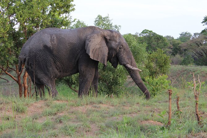 Ultimate Uganda Luxury Safari - 14 Days - Queen Elizabeth National Park and the Kazinga Channel