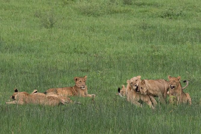 Ultimate Uganda Luxury Safari - 14 Days - Kyambura Gorge and the road to Bwindi