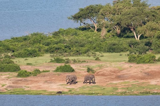 Ultimate Uganda Luxury Safari - 14 Days - Lake Bunyonyi gives the schedule room to breathe