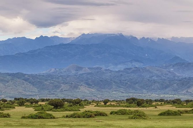 Ultimate Uganda Luxury Safari - 14 Days - Lake Mburo adds zebras, walking, and culture