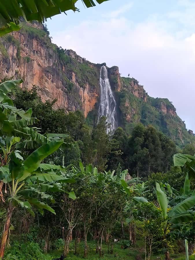 Wanale hill hike - The three-to-four-hour climb