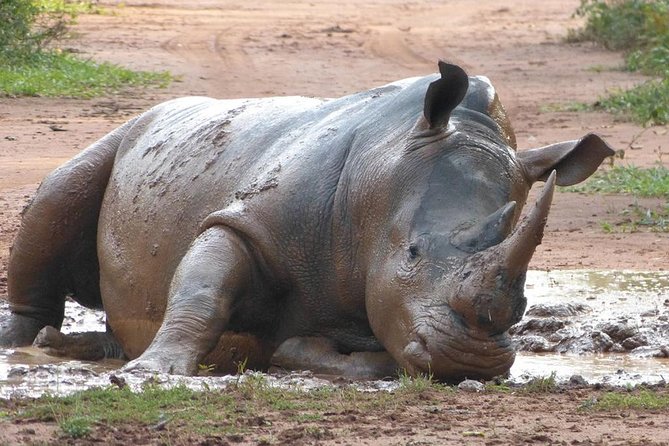 Zziwa Rhino Sanctuary Walking Safari - Leaving Kampala early for the Gulu Highway